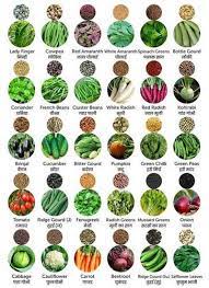 organic fresh vegetable seeds at best