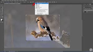 Cómo Recortar y redimensionar imagen en Photoshop ✔️ - Solvetic
