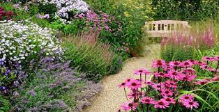 Six Tips To A No Work Cottage Garden