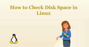 how to check disk e in linux