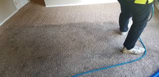 lewis county s gt carpet cleaning