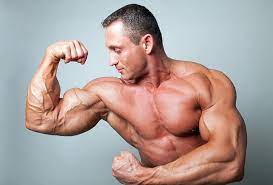 bigger biceps at home without weights