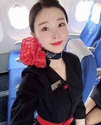 Pin on stewardess