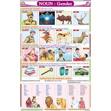 Noun Gender Chart 50x75cm