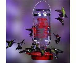 Best 1 Hummingbird Feeder With 32 Oz