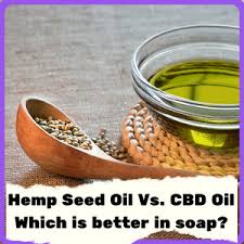 hemp seed oil vs cbd oil which is