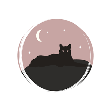 cute esoteric magic halloween black cat