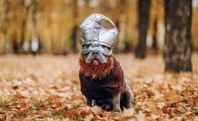200 viking dog names warriors norse