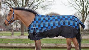 qhp fleece lined turnout rug review