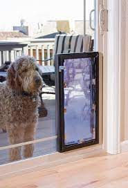 Pet Doors The Window Source Of The