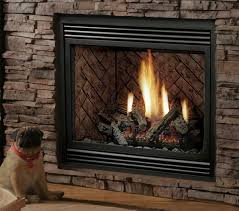 Direct Vent Gas Fireplace