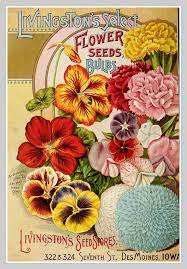 1894 Seed Catalog Vintage Seed
