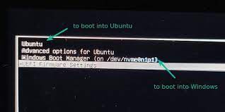 install windows with ubuntu in dual boot
