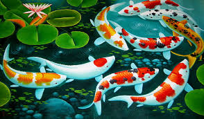 pc animated koi fish hd wallpaper
