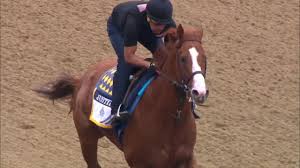 Justify Hits The Belmont Park Track Thursday For The First Time