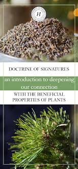Doctrine Of Signatures An Introduction To Deepening Our