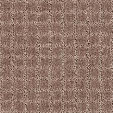 starlite pattern carpet empire today