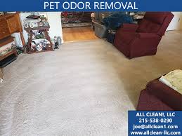 pet odor removal service by all clean llc
