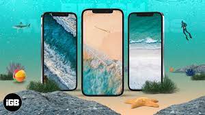 15 Best iPhone beach wallpapers in 2022 ...