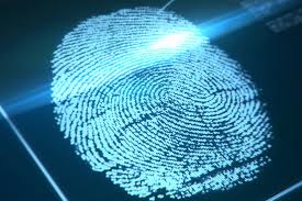 Image result for fingerprints