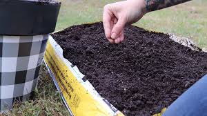 Soil Bags Container Gardening