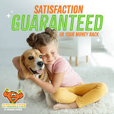 natural carpet cleaning