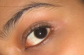 how to apply arabic eye makeup