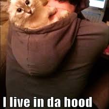 Peewee Hermus — #cute #da #hood #sweet #adorable #memes #meme... via Relatably.com