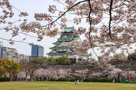 cherry blossom reports 2023 osaka