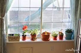 diy removable window shelf for plants