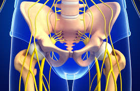 groin nerve pain overview and