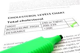 Cholesterol Score And Hdlevate Results Explained Vitellus