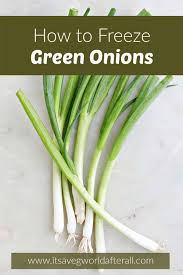 how to freeze green onion it s a veg