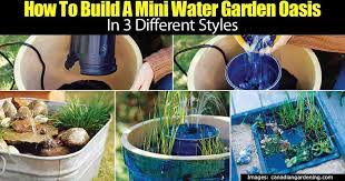 container water garden for your deck