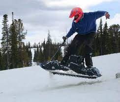 gas powered motorized snowboard
