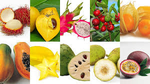 10 Hawaiian Fruits Youve Never Heard Of Kukuiula