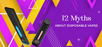 Maybe you would like to learn more about one of these? 12 Myths About Disposable Vapes Mio Vapor