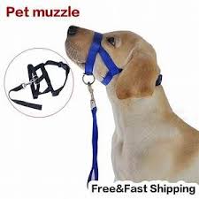 Dog Muzzle Harness Aol Image Search Results Dog Muzzle