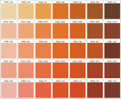 Pantone Orange Color Chart Bedowntowndaytona Com