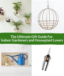 Indoor Plant Gifts The Houseplant