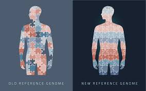 first complete human genome poised to