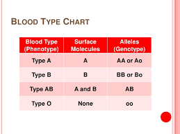 Blood Types Chart Jasonkellyphoto Co