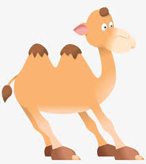 Camel saddles, the art of saddling a camel by doug baum. Realistic Clipart Camel Whatsapp Sticker Free Download Free Transparent Png Download Pngkey