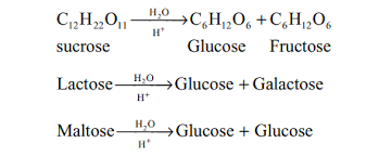 biomolecules chemistry