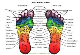Foot Pressure Points Online Charts Collection