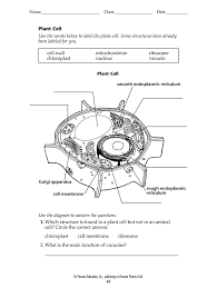 cell diagram unlabeled fill out sign
