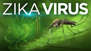 Résultat de recherche d'images pour "zika virus"