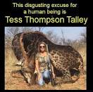 Tess Thompson Talley