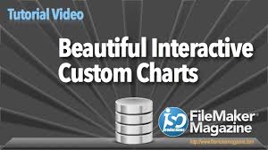 Beautiful Interactive Custom Charts Iso Filemaker Magazine