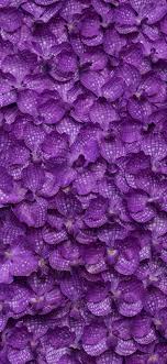 100 iphone 11 purple wallpapers